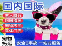 百色巴马机场快运国际宠物托运 【国